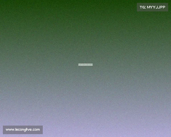 小狐电子竞技官网下载