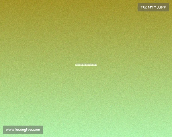 电子竞技与娱乐电子竞技娱乐会所