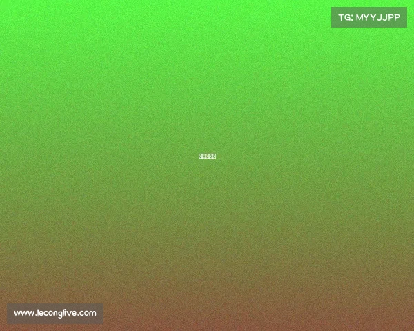 电竞胖子多 电竞胖子多