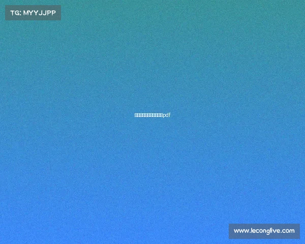 美国电子竞技方案中文版pdf